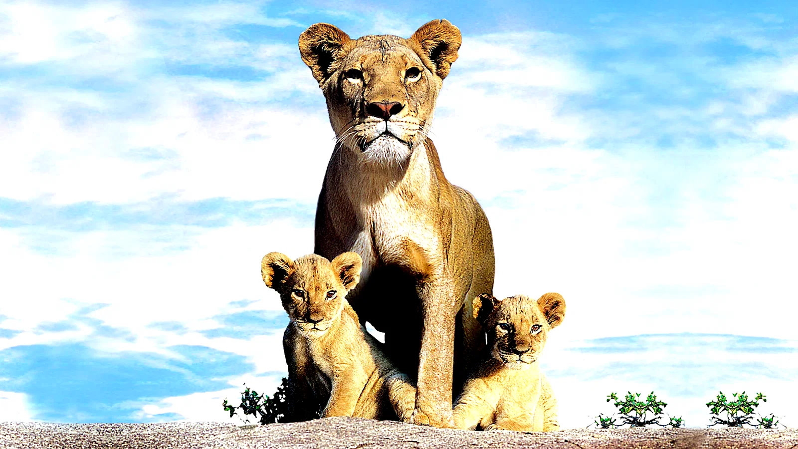 Photo 2 du film : Le clan