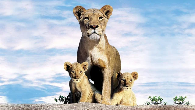 Photo 2 du film : Le clan