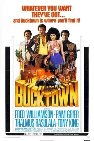 Affiche du film : Bucktown
