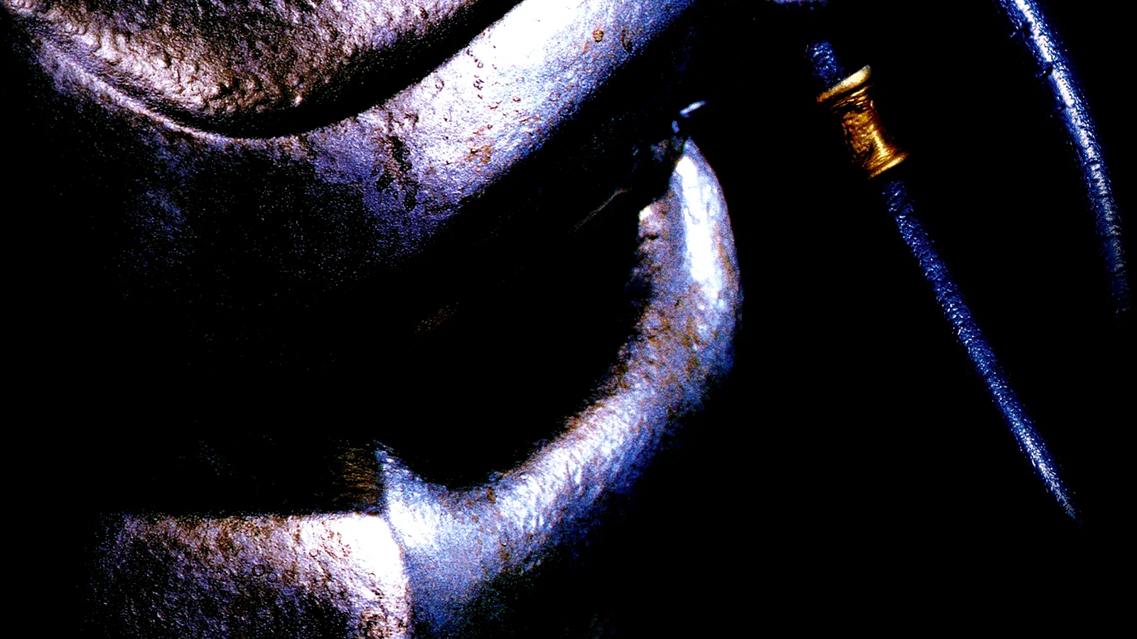 Photo 2 du film : Predator 2