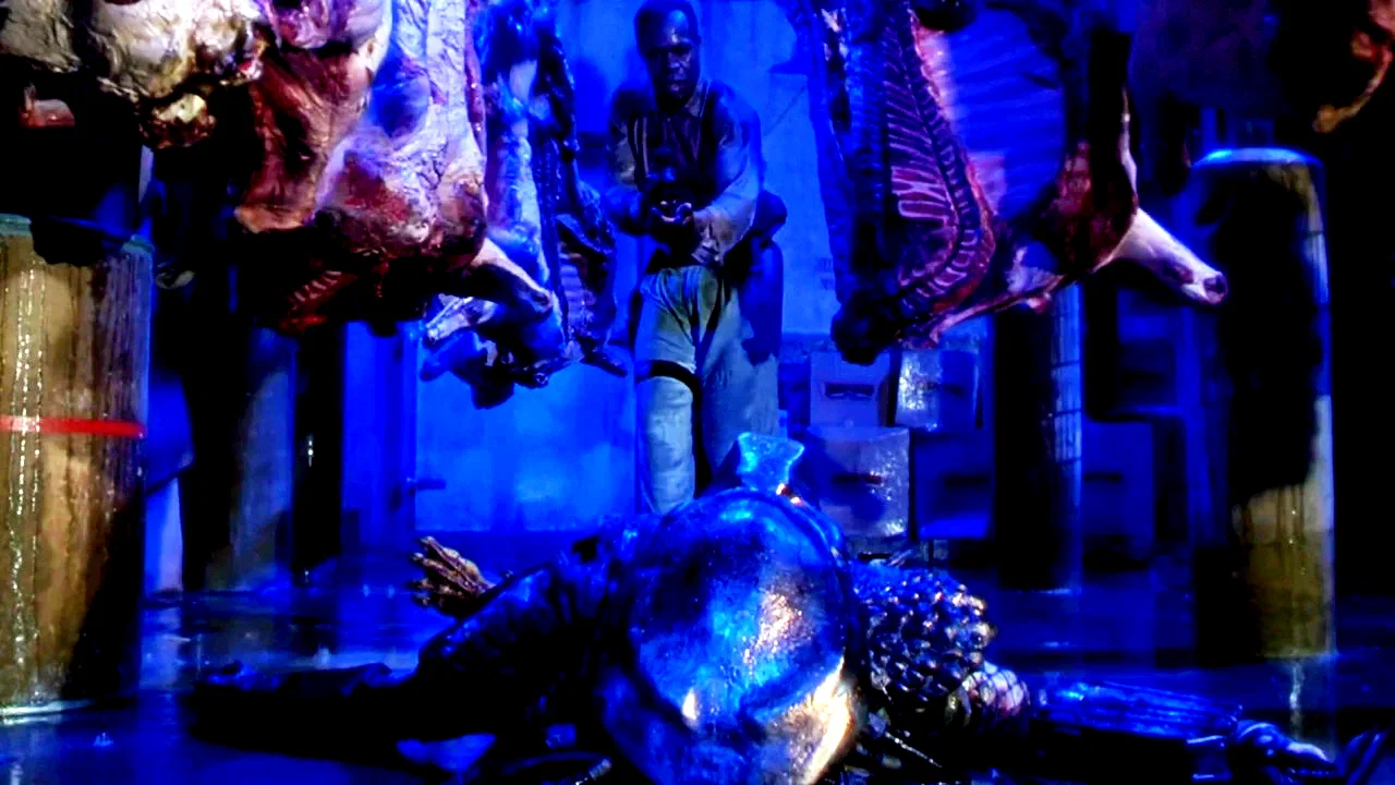 Photo 6 du film : Predator 2