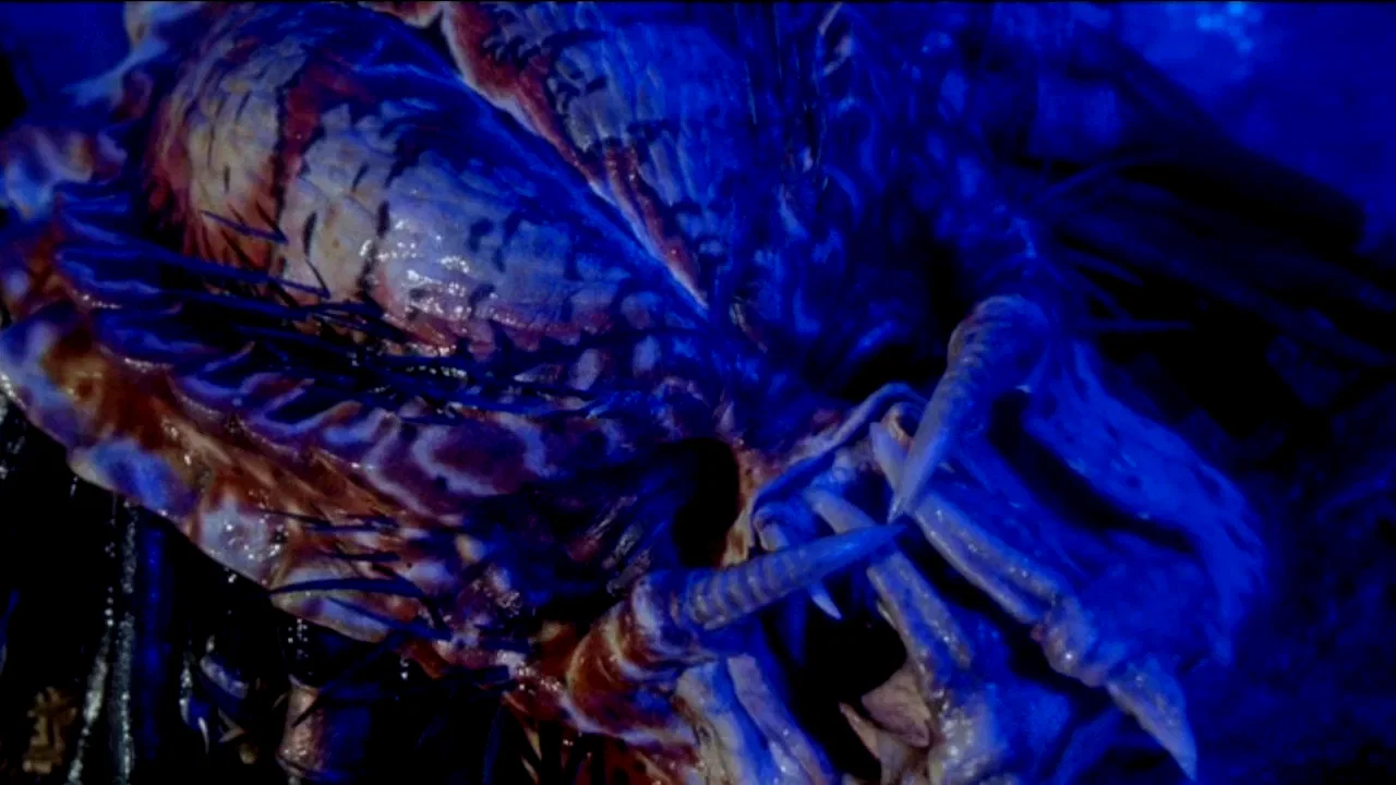 Photo 9 du film : Predator 2