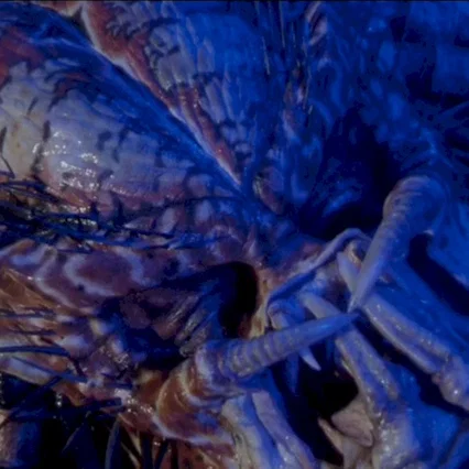 Miniature photo du film : Predator 2