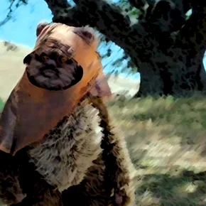Photo du film : L'aventure des ewoks