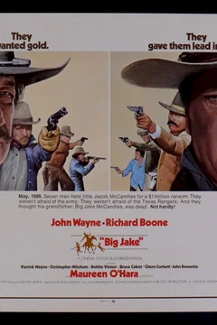 Affiche du film Big jake