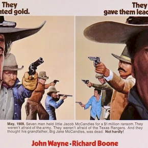 Photo du film : Big jake