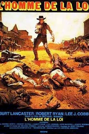 Affiche du film : L'homme de la loi