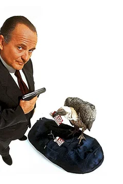 Affiche du film 8 têtes dans un sac