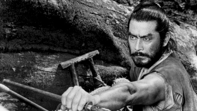 Photo 2 du film : La forteresse cachee