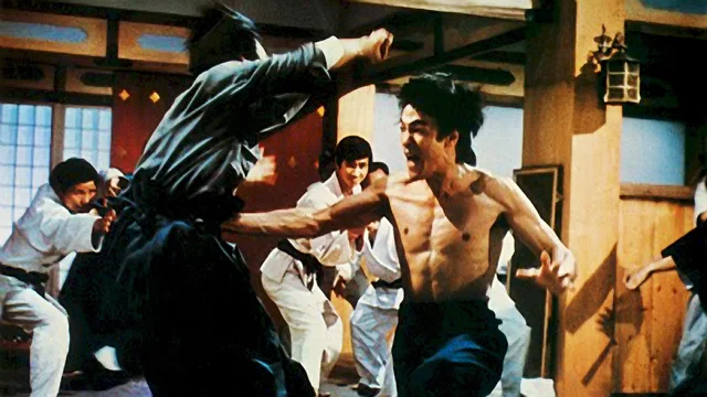 Photo du film : La fureur de vaincre
