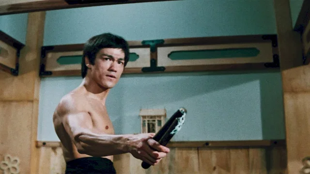 Photo du film : La fureur de vaincre