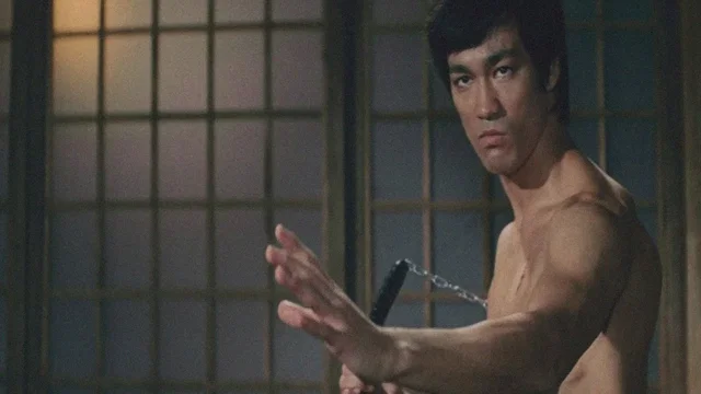 Photo du film : La fureur de vaincre