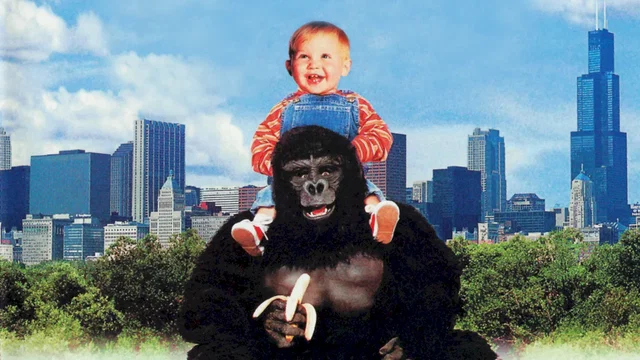 Affiche du film : Bebe part en vadrouille