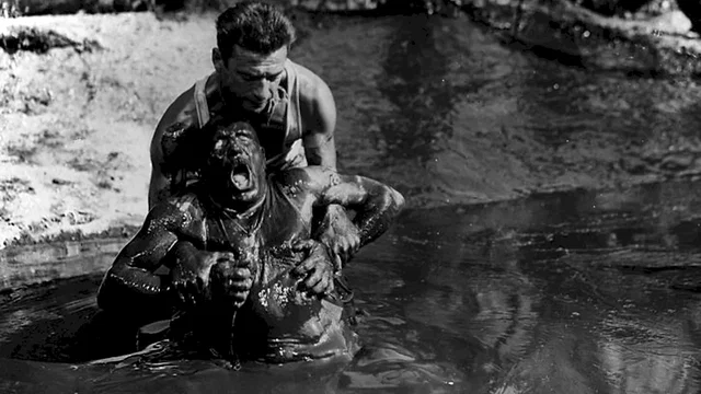 Photo du film : Le salaire de la peur