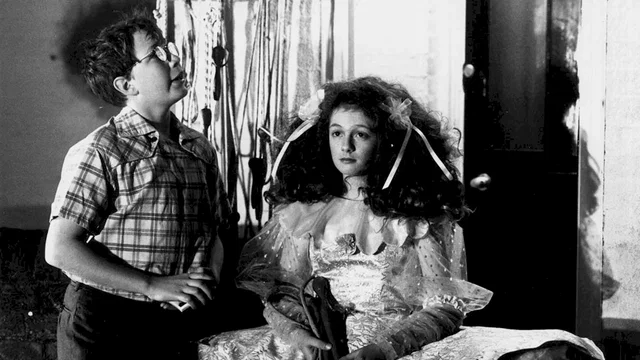 Photo du film : Drowning by numbers