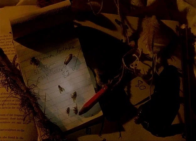 Photo 3 du film : Drowning by numbers