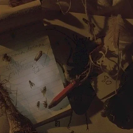 Miniature photo du film : Drowning by numbers