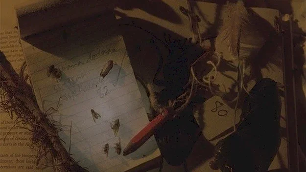 Photo du film : Drowning by numbers