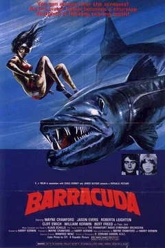 Affiche du film Barracuda