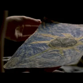Photo du film : Darkness