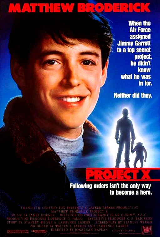 Affiche du film : Project x