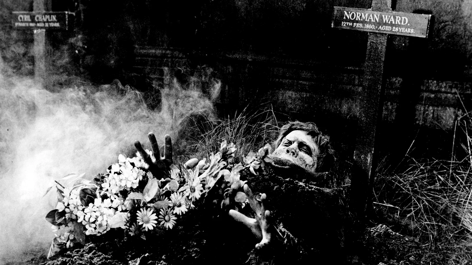 Photo 2 du film : L'invasion des morts vivants