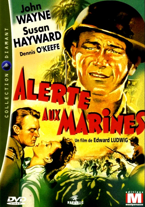 Affiche du film : Alerte aux marines