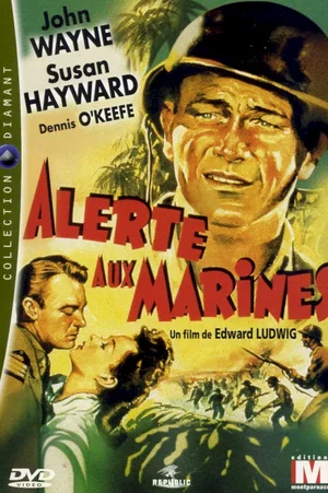 Affiche du film : Alerte aux marines