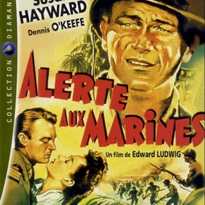 Photo du film : Alerte aux marines