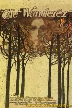 Affiche du film Le grand meaulnes