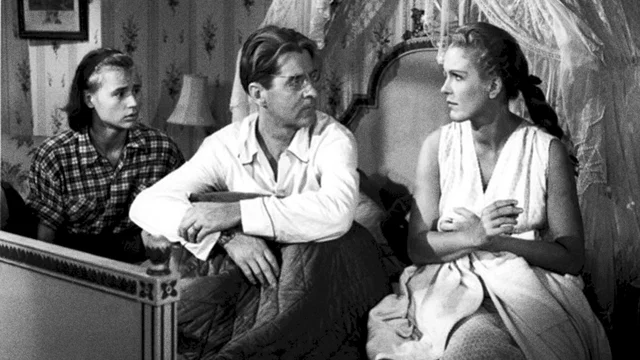 Affiche du film : Une lecon d'amour