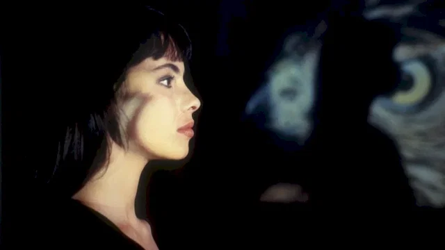 Photo 2 du film : Le Cri du hibou