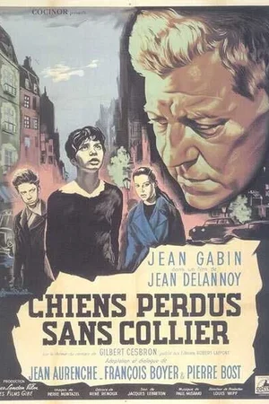 Affiche du film : Chiens perdus sans collier