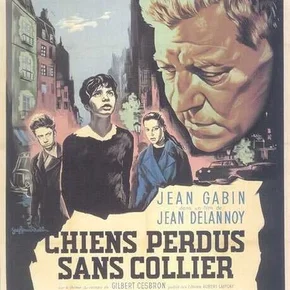 Photo du film : Chiens perdus sans collier