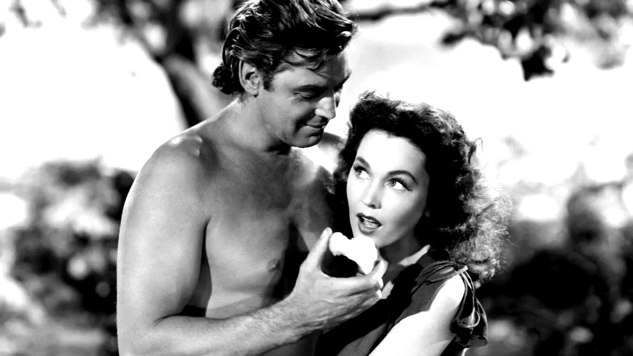 Photo 2 du film : Le tresor de tarzan