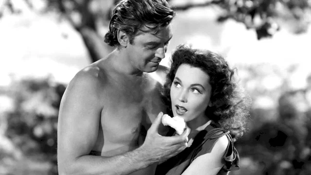 Photo 2 du film : Le tresor de tarzan