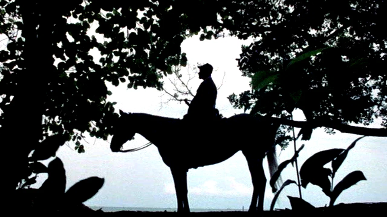 Photo 2 du film : L'adieu au roi