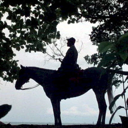 Miniature photo du film : L'adieu au roi