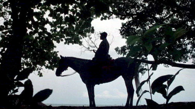 Photo du film : L'adieu au roi