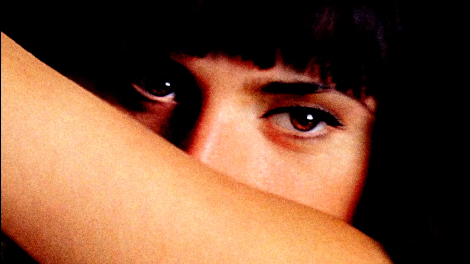 Photo 4 du film : Elegy