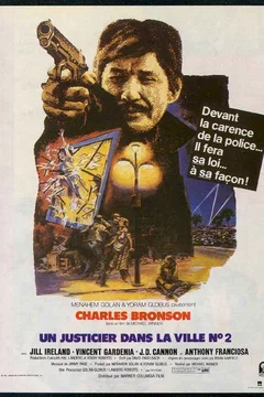 Affiche du film Un justicier dans la ville 2