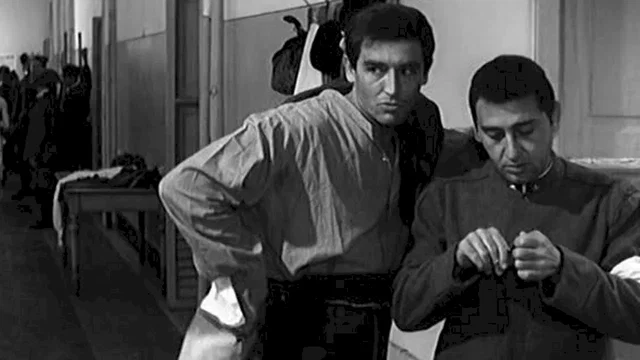 Photo 2 du film : La grande guerre