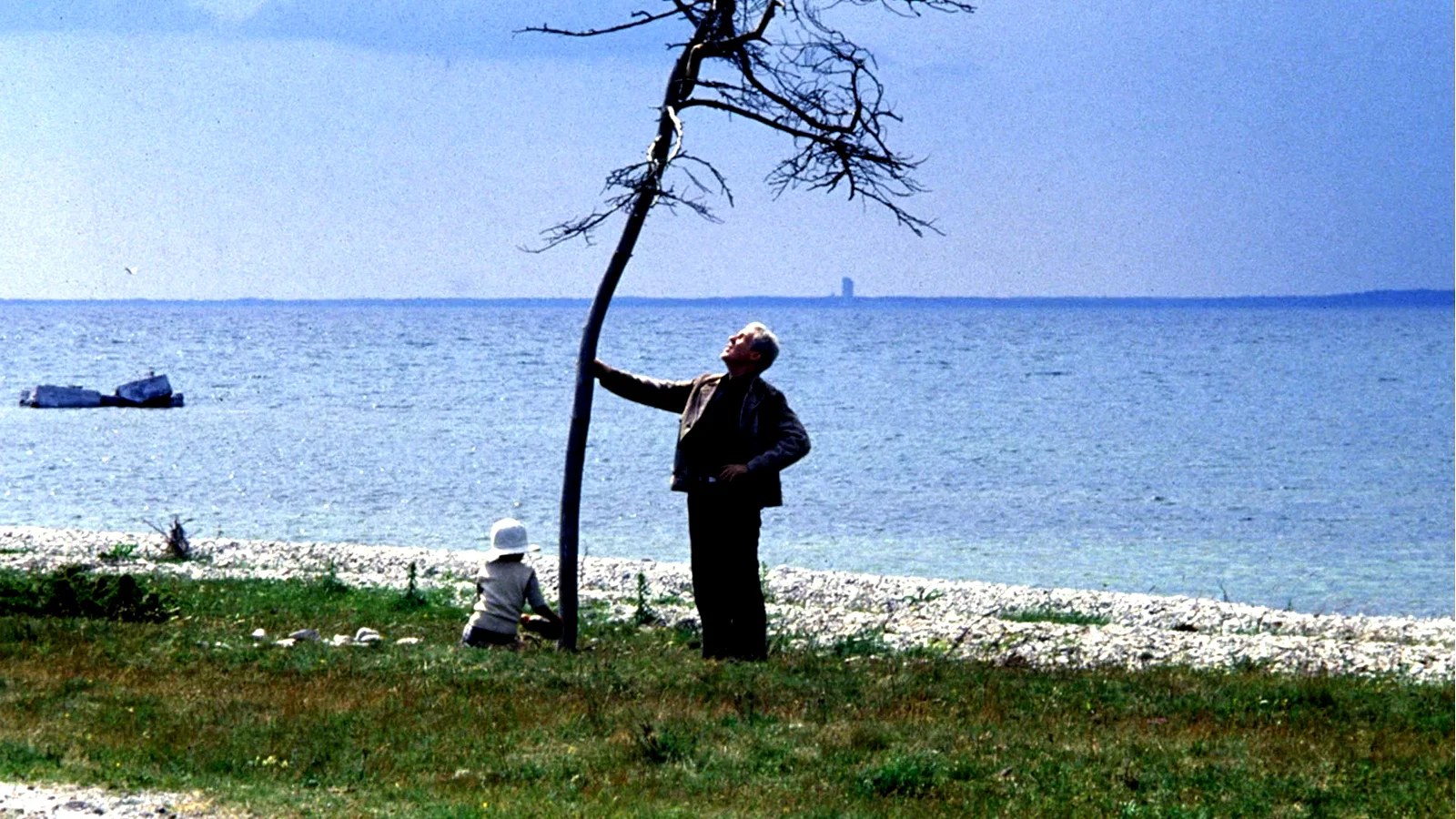 Photo 12 du film : Le sacrifice