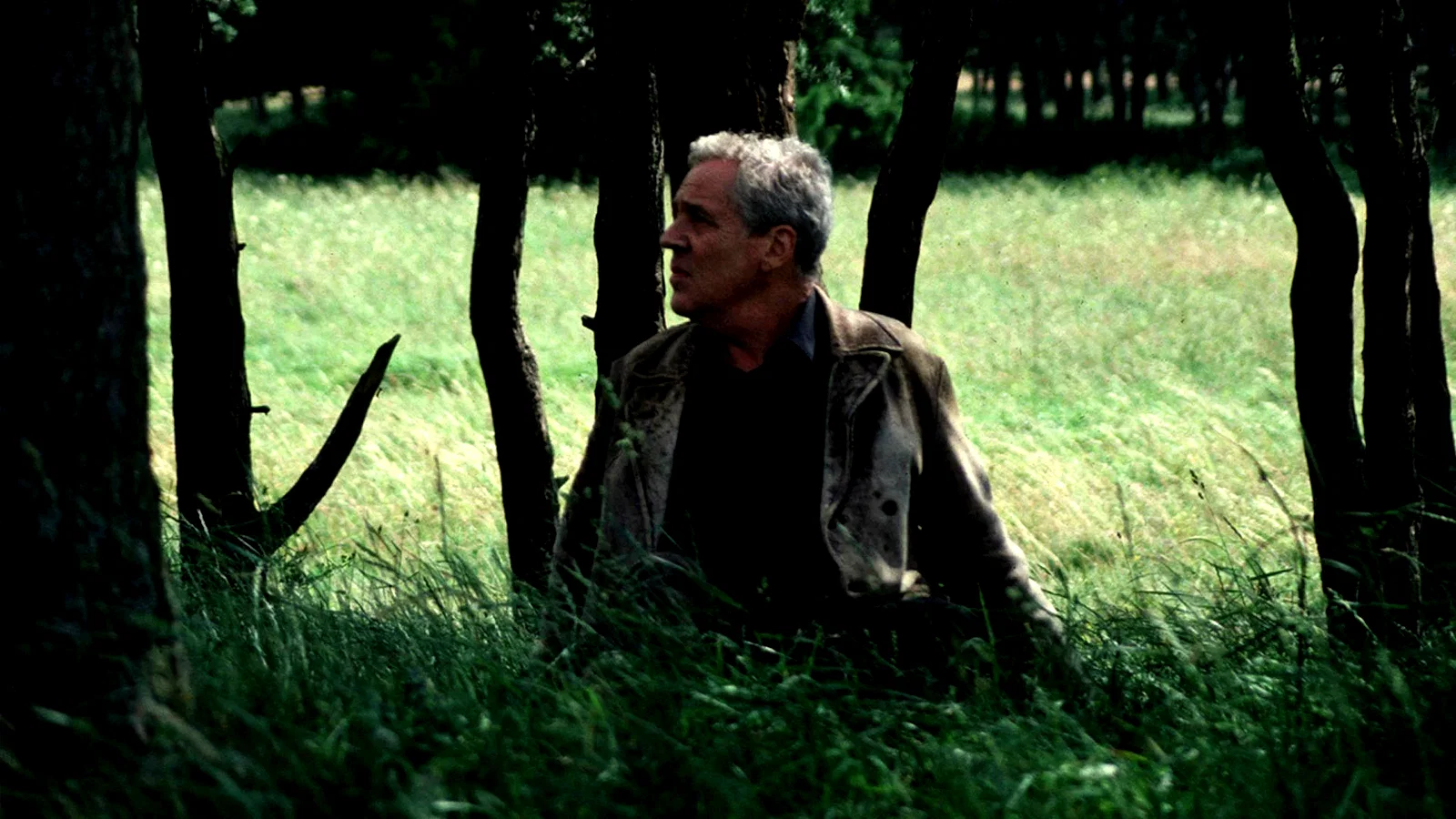 Photo 14 du film : Le sacrifice
