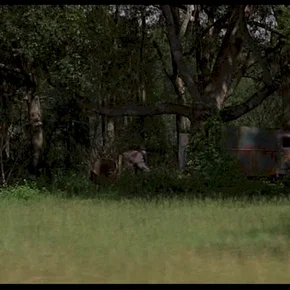 Photo du film : Morts de peur