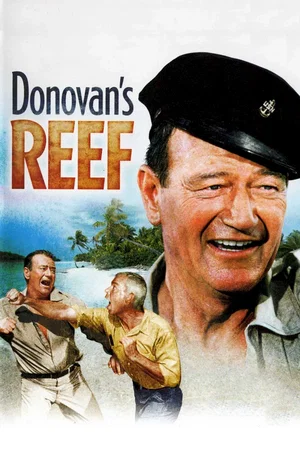 Affiche du film : La taverne de l'irlandais