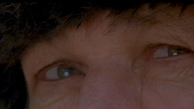 Photo 4 du film : Chasse a mort