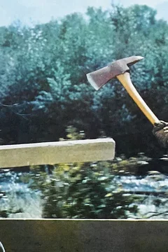 Affiche du film L'empereur du nord