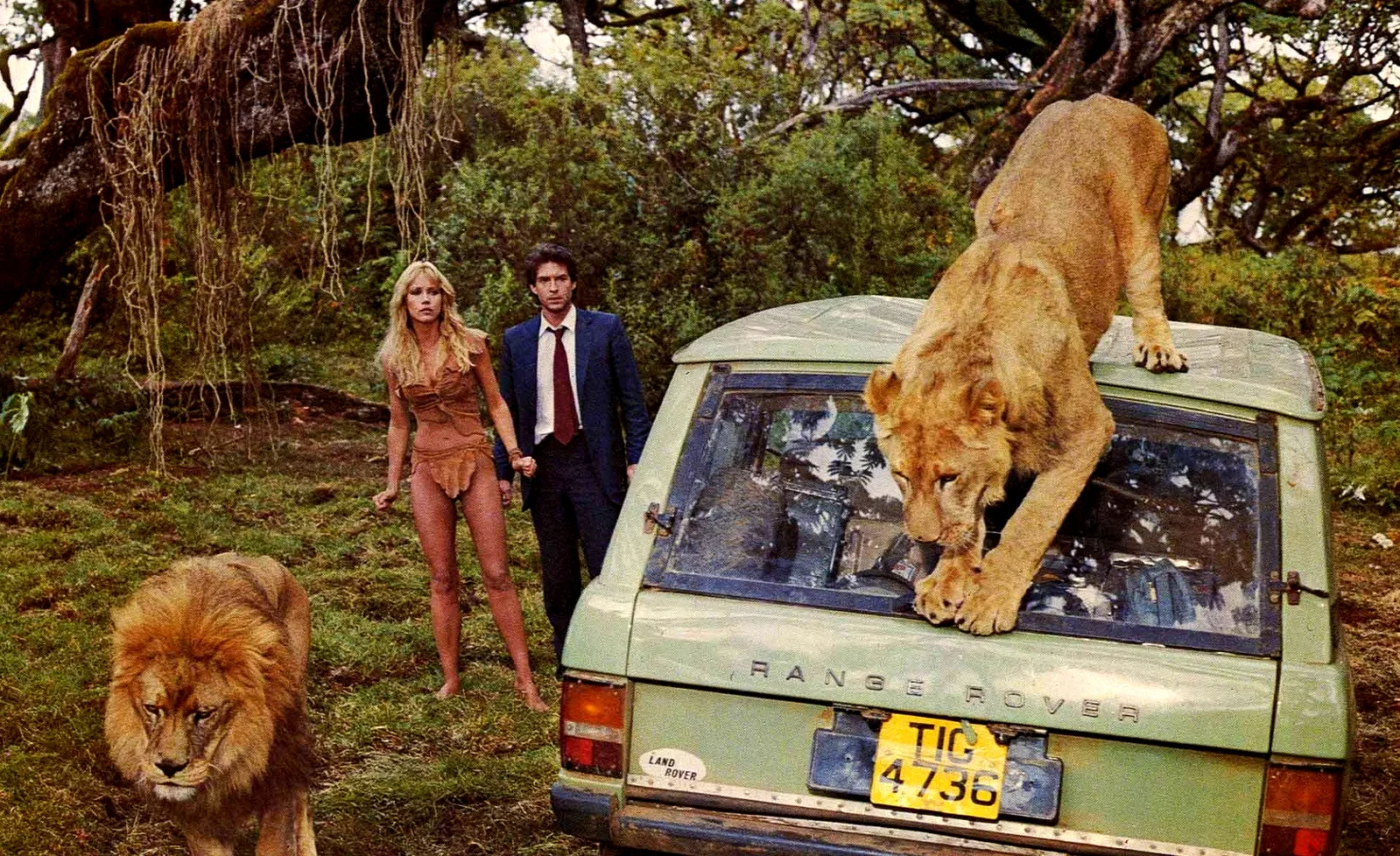Photo 3 du film : Sheena reine de la jungle
