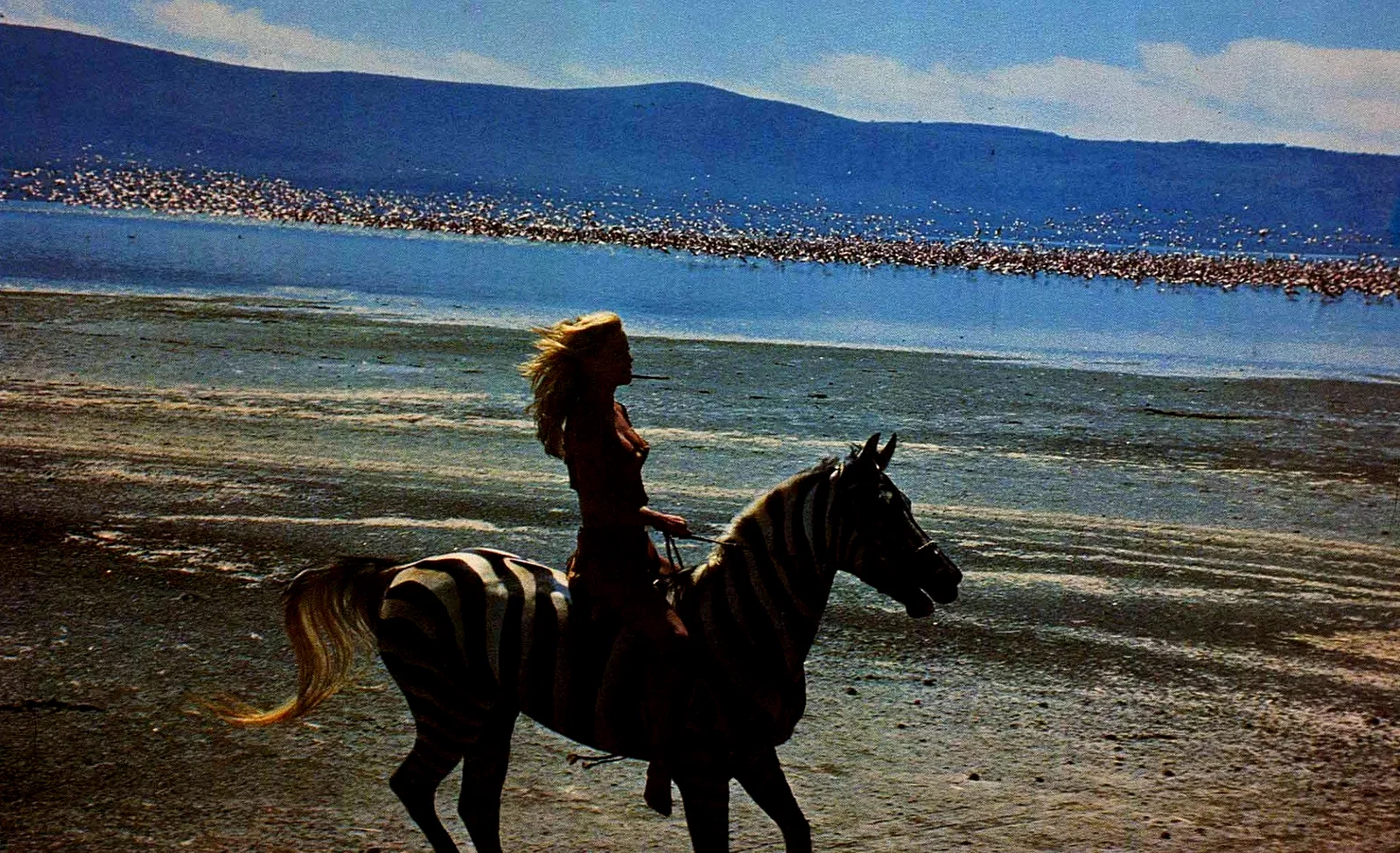 Photo 5 du film : Sheena reine de la jungle